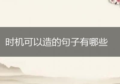 时机可以造的句子有哪些