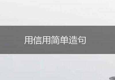 用信用简单造句