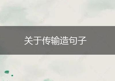 关于传输造句子