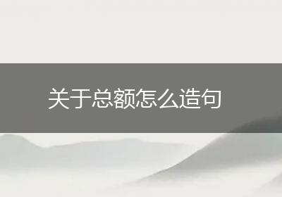 关于总额怎么造句