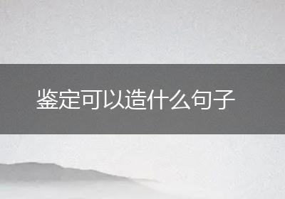 鉴定可以造什么句子