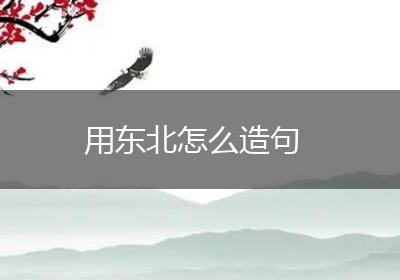 用东北怎么造句