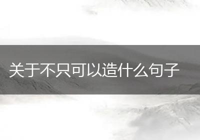 关于不只可以造什么句子