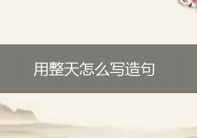 用整天怎么写造句