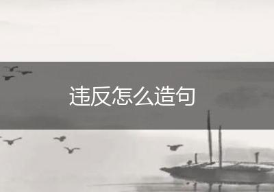 违反怎么造句