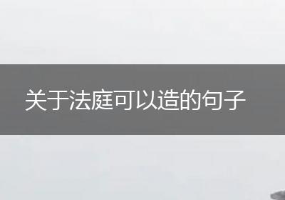 关于法庭可以造的句子