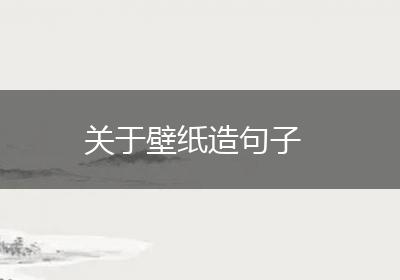 关于壁纸造句子