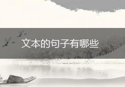 文本的句子有哪些