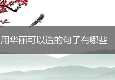 用华丽可以造的句子有哪些