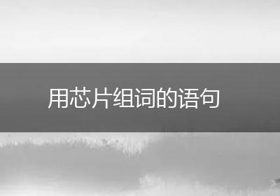 用芯片组词的语句