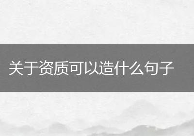关于资质可以造什么句子