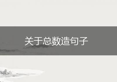 关于总数造句子