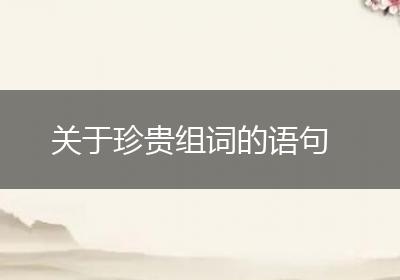 关于珍贵组词的语句