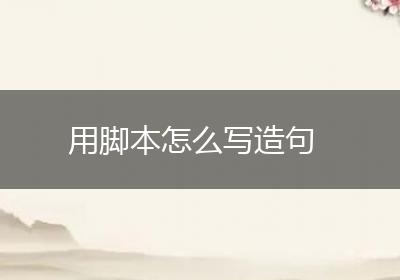 用脚本怎么写造句
