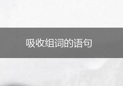 吸收组词的语句