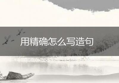 用精确怎么写造句