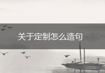 关于定制怎么造句