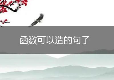 函数可以造的句子