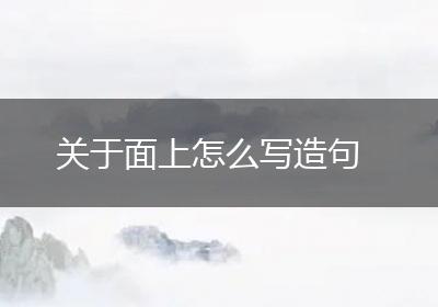 关于面上怎么写造句