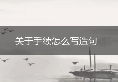 关于手续怎么写造句