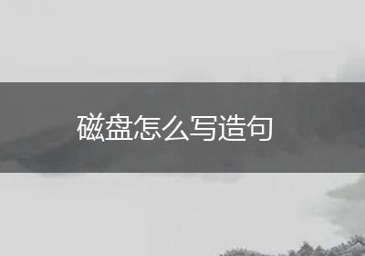 磁盘怎么写造句