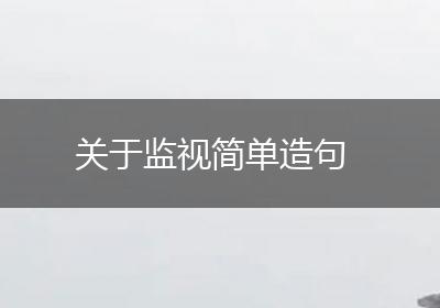 关于监视简单造句