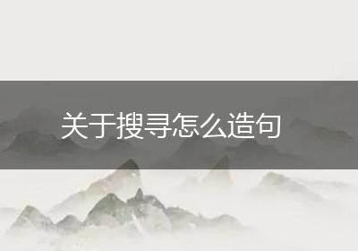 关于搜寻怎么造句