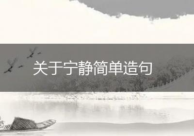 关于宁静简单造句