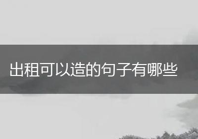 出租可以造的句子有哪些