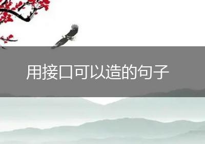 用接口可以造的句子
