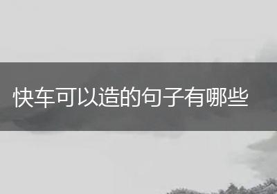 快车可以造的句子有哪些