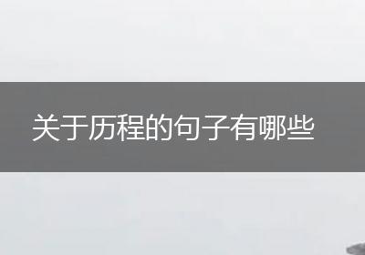 关于历程的句子有哪些