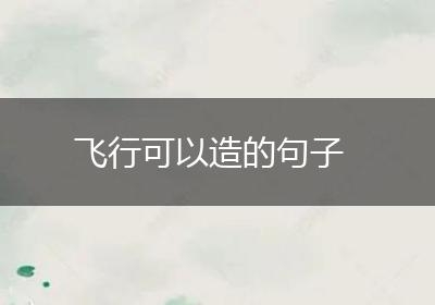 飞行可以造的句子