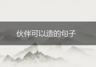 伙伴可以造的句子