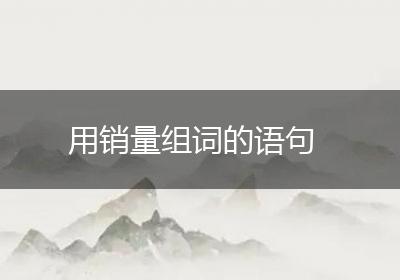 用销量组词的语句