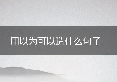用以为可以造什么句子