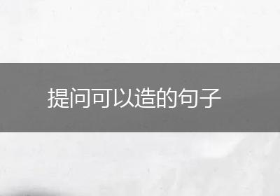 提问可以造的句子