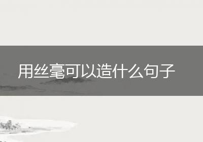 用丝毫可以造什么句子
