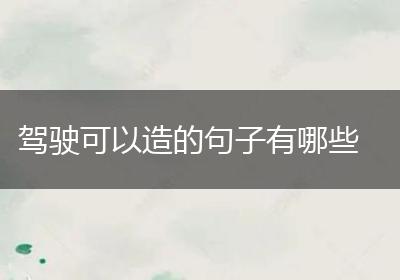 驾驶可以造的句子有哪些