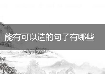 能有可以造的句子有哪些