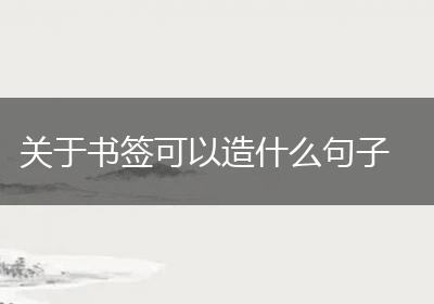 关于书签可以造什么句子