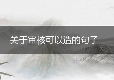 关于审核可以造的句子