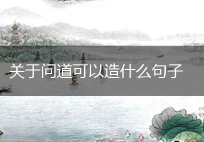 关于问道可以造什么句子