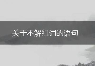 关于不解组词的语句