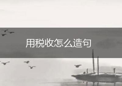用税收怎么造句