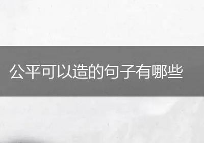 公平可以造的句子有哪些