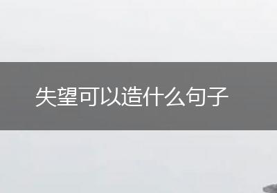 失望可以造什么句子