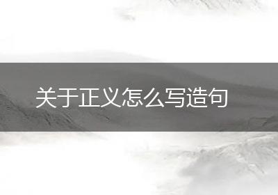 关于正义怎么写造句