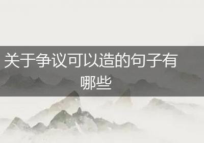 关于争议可以造的句子有哪些