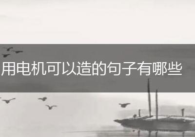 用电机可以造的句子有哪些